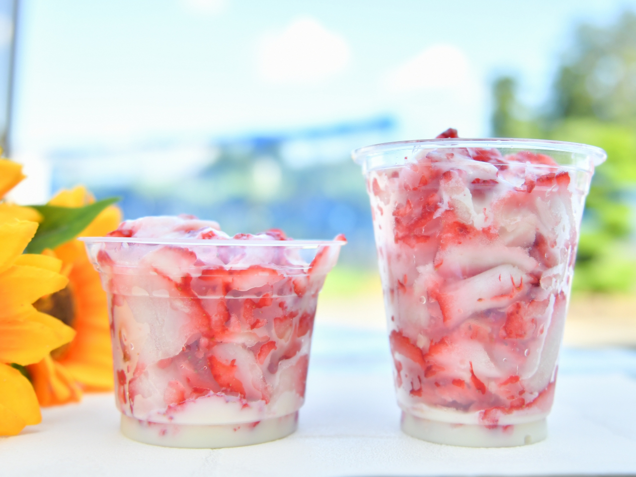 ₽ĊÂĎ_̂u䕁v̔Ă܂BM[TCY700~A~jTCY500~B