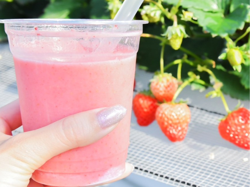 C`S̃X[W[igق؂ՂgpĂ܂j