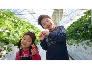 あまーい苺でにっこりポーズ♪