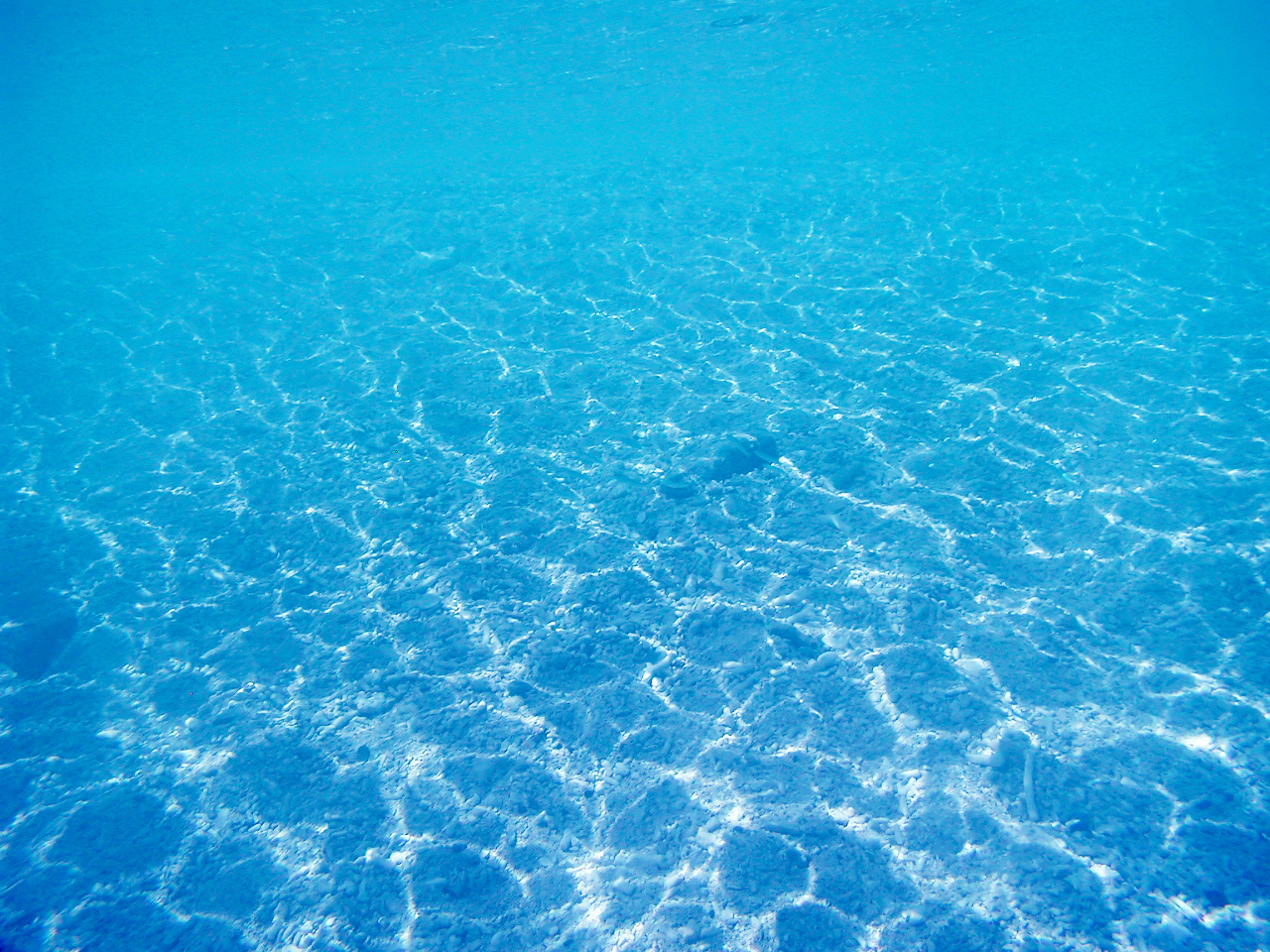 まずは透明度の高い海に癒されましょう