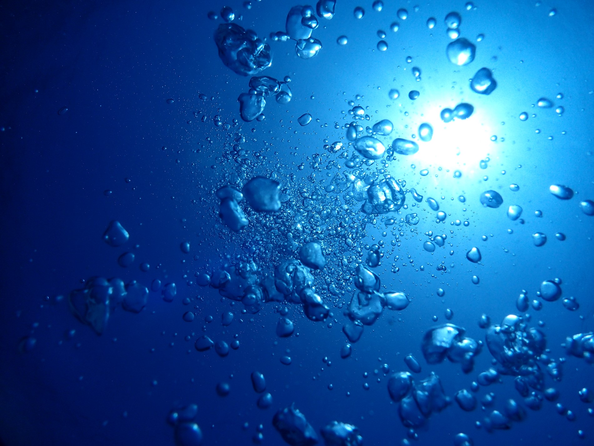 水中から見上げると泡と光のコラボレーションが幻想的です。