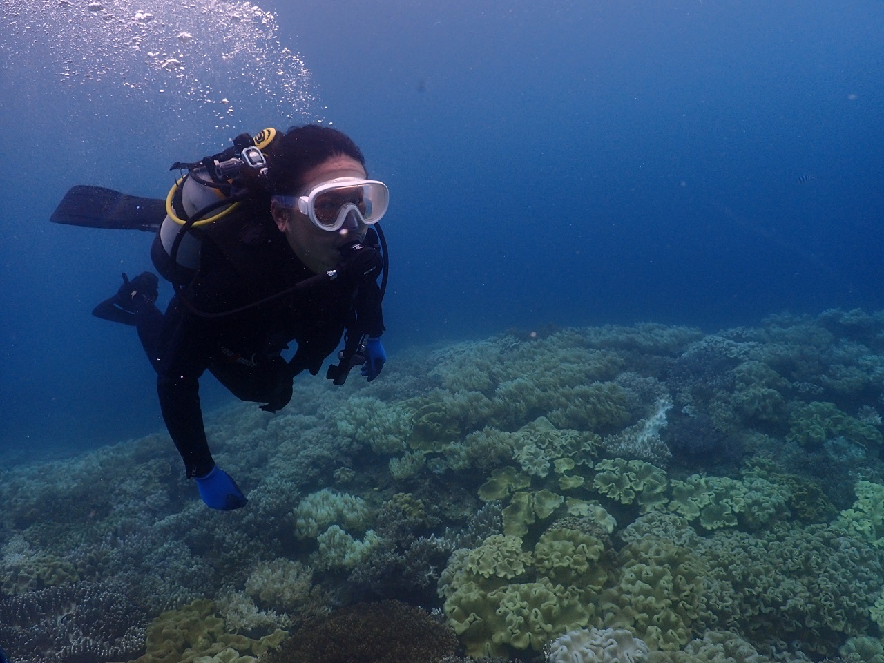 水中世界に慣れてきたら自分で泳いでいただいてもOKです!!沖縄の海を存分に堪能してください!