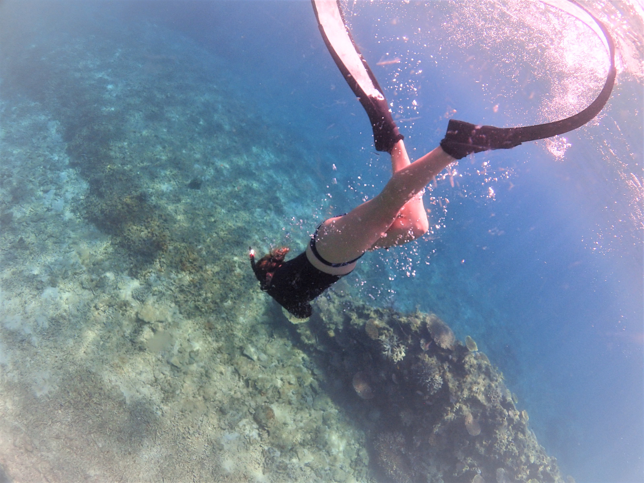 SNSでも話題のスキンダイビング!初めての方もレクチャー致します♪