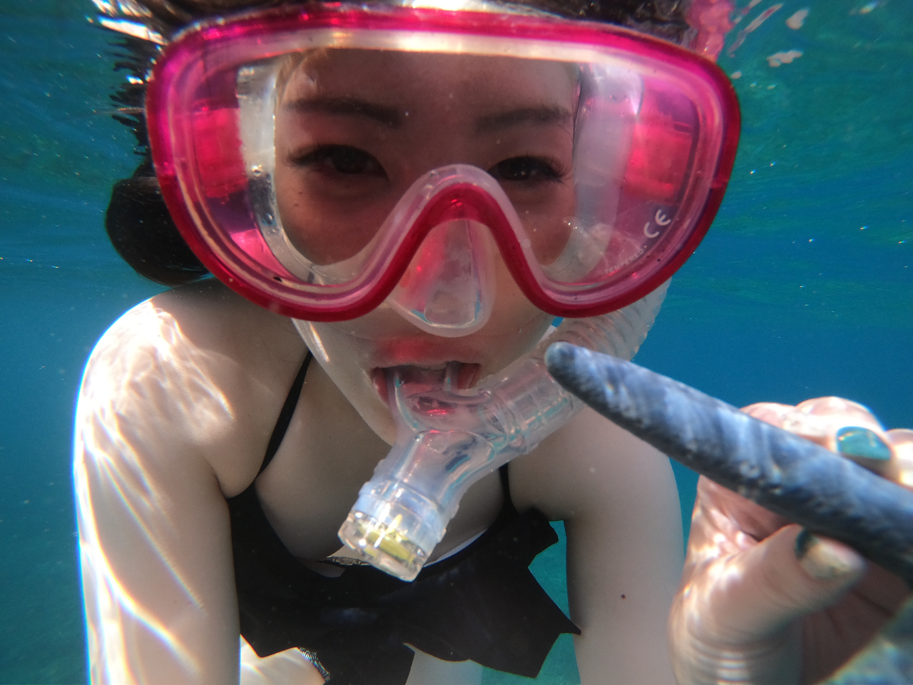 少し慣れてきたら水中の生き物たちと遊んでみましょう!