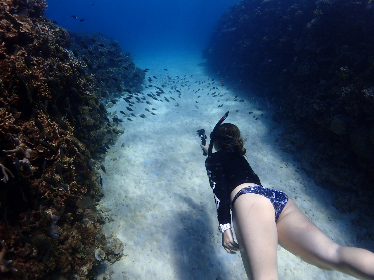 J̎OKIC̗lqX^btBeăv[g܂I