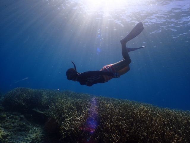 シュノーケリングに慣れてきたら素潜りにチャレンジしみてもOK!!担当スタッフが上手なスキンダイビングをレクチャーします。