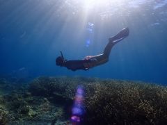 ダイビングよりも身軽に、シュノーケリングよりも奥行きの深い海遊びを!!