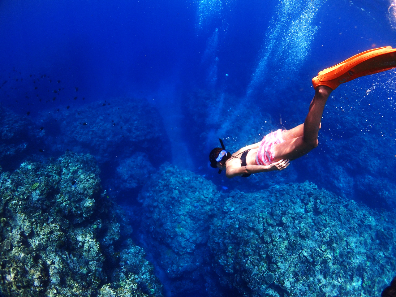 真っ青な海へダイブ!!