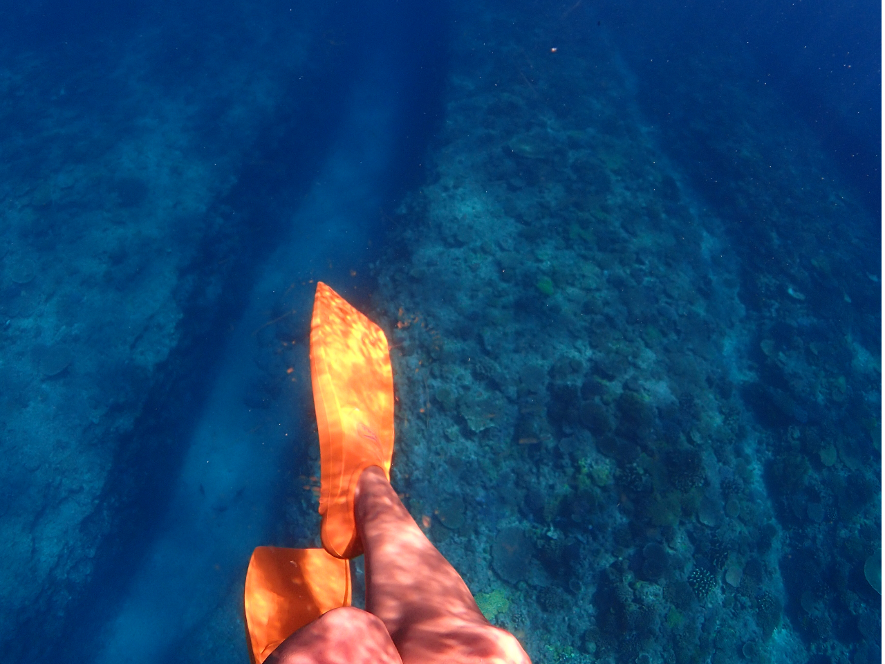 突き抜ける感動!!