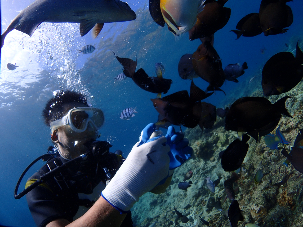 魚の食いつきが凄っ!!