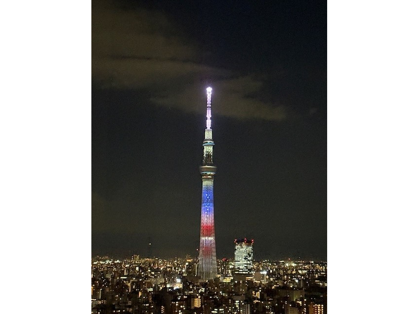 ���{���������������̃X�J�C�c���[