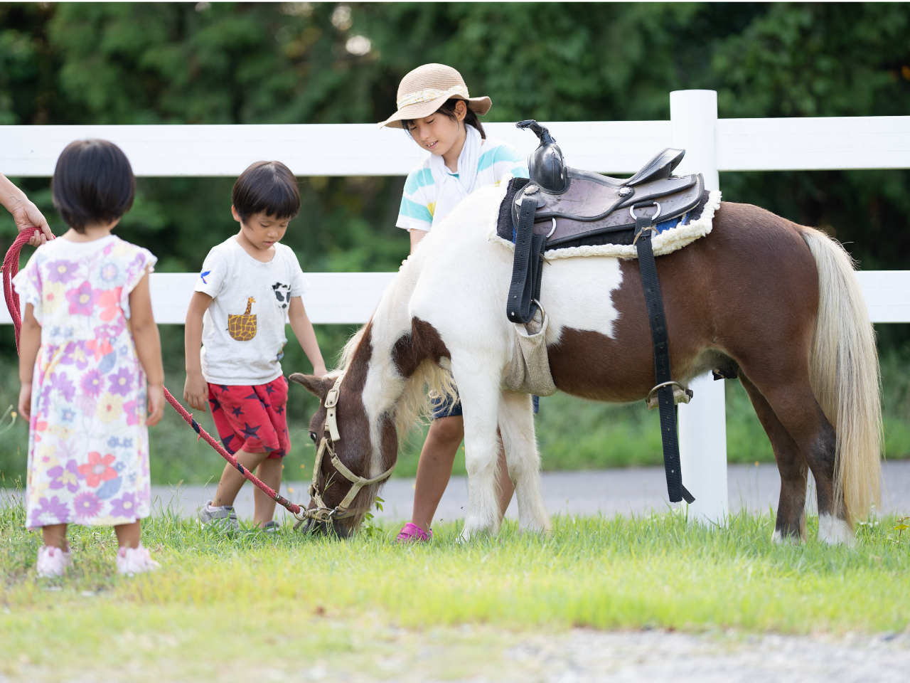 nbs[z[Xt@[̂n͂ƂĂ₳āA݂ȃZsXgłBn͐l̃j[Y̊YAƂɉ߂ĂœKȃp[gi[łB