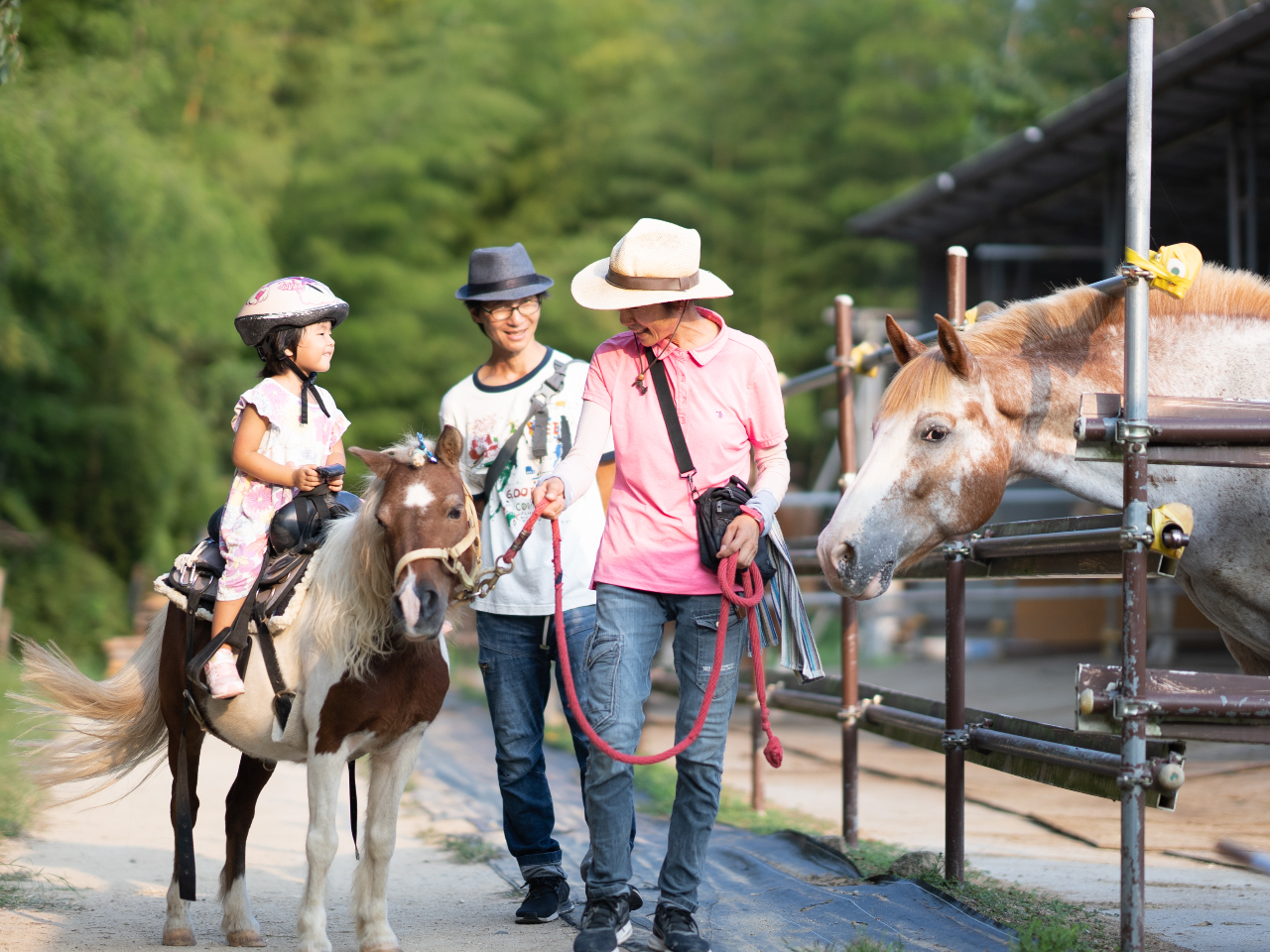 t@[ł́An񂪊݂ACC肷邱ƂقƂǂ܂BtɐlYĈꏏɗVڂƂĂ܂