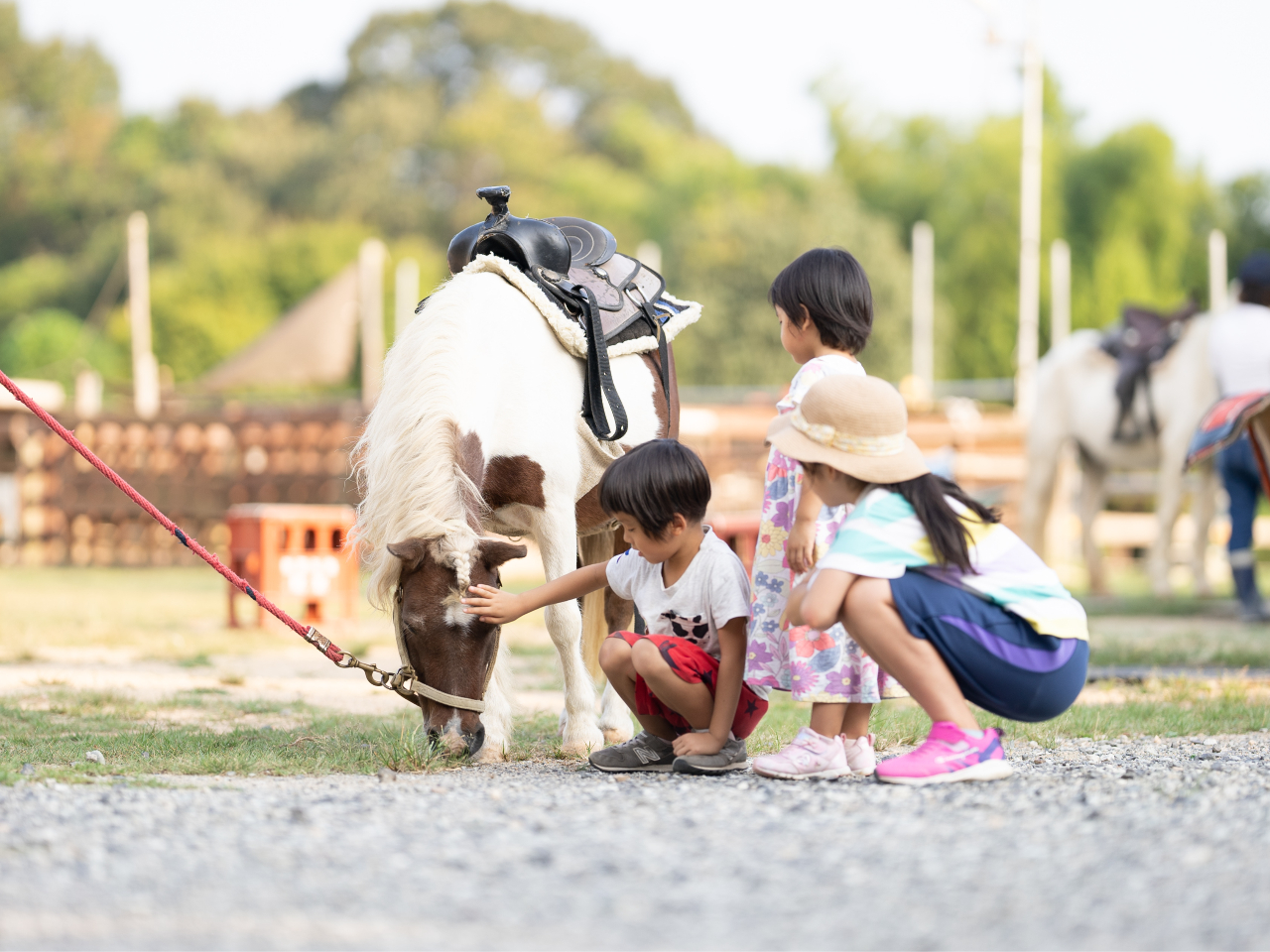 nɂ̂邱ƁAӂꂠƂuz[XZs[vƌ܂BGꍇƂłn񂩂炽̃GlM[AƉu͂ƌĂ܂B