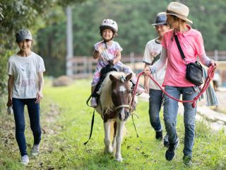 はじめてお馬さんに乗るお子様も、大人の方も安心♪たくさんの愛情を受けてのびのびと暮らしているから人が大好きなんです♪ 外の道でも安心してのることができます!