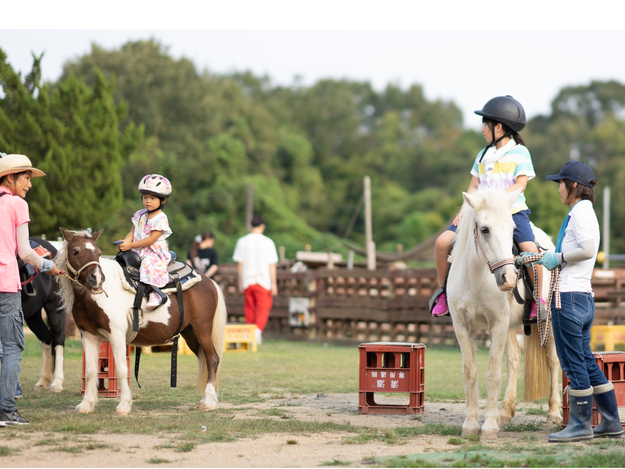 ZAoŗāAȂq񂾂nɏȂĂƂ܂񂩁Ht@[ł͏Ȃqlł傫Ȃn⏬ȂnȂǑIŏ܂I