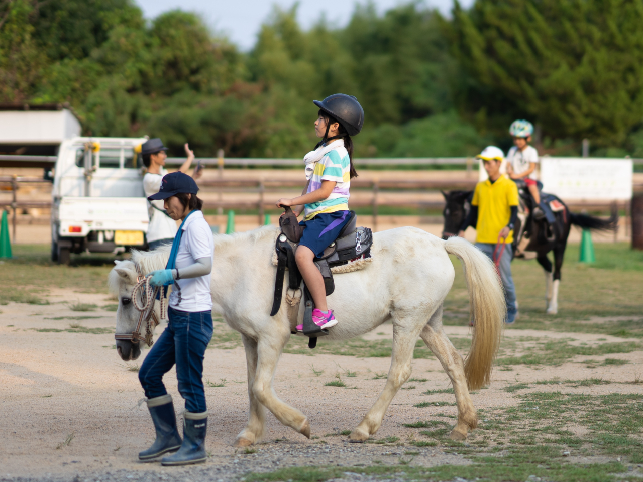 X^btn̏ƎHĂ܂ˁ`w؂sƐLтĂƂĂYȏł`qĖ{ɑfłˁ`I