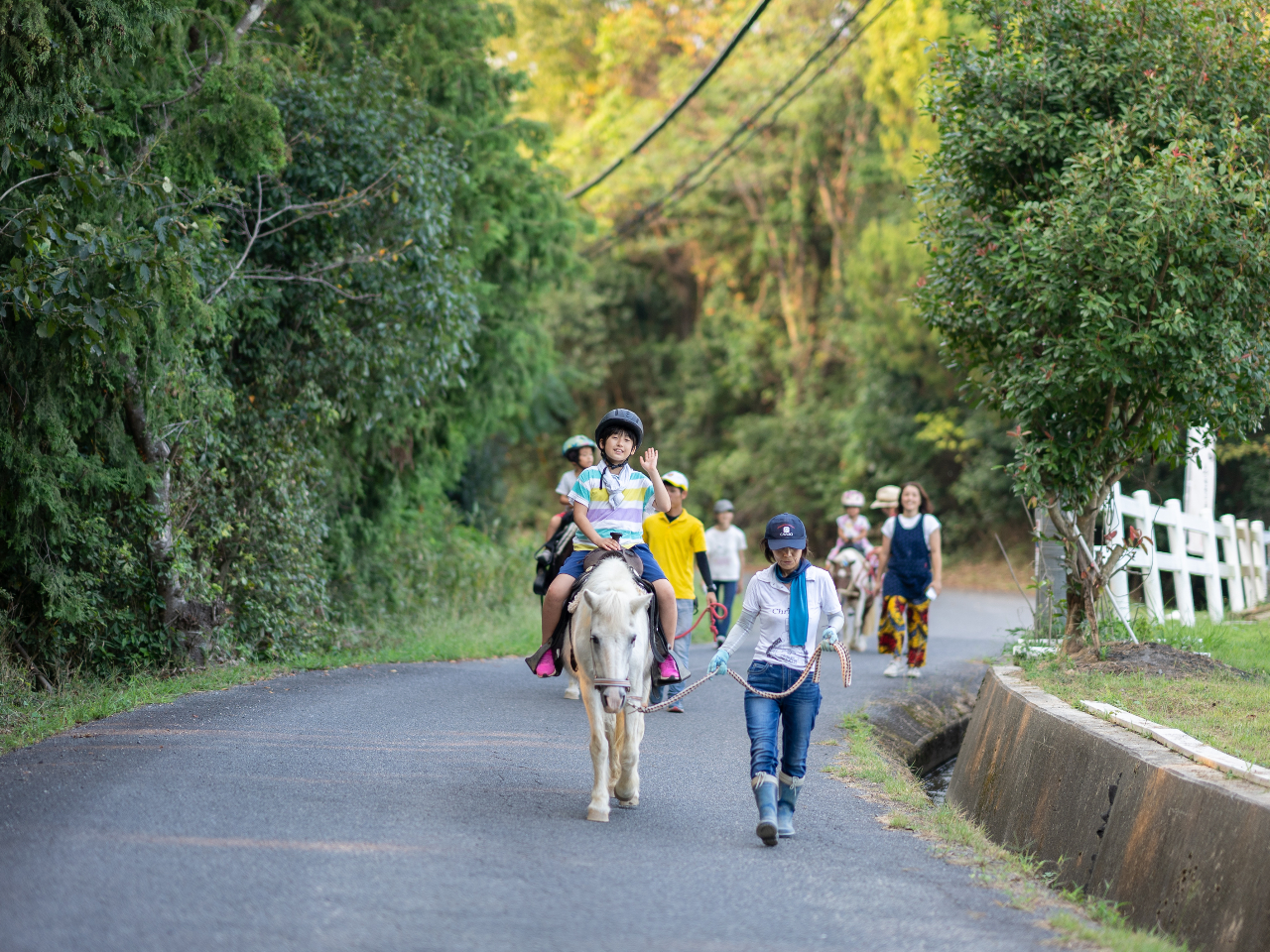 Ȃ̂łAn̕X̂͂̂ƁASĊOR[X̂łI