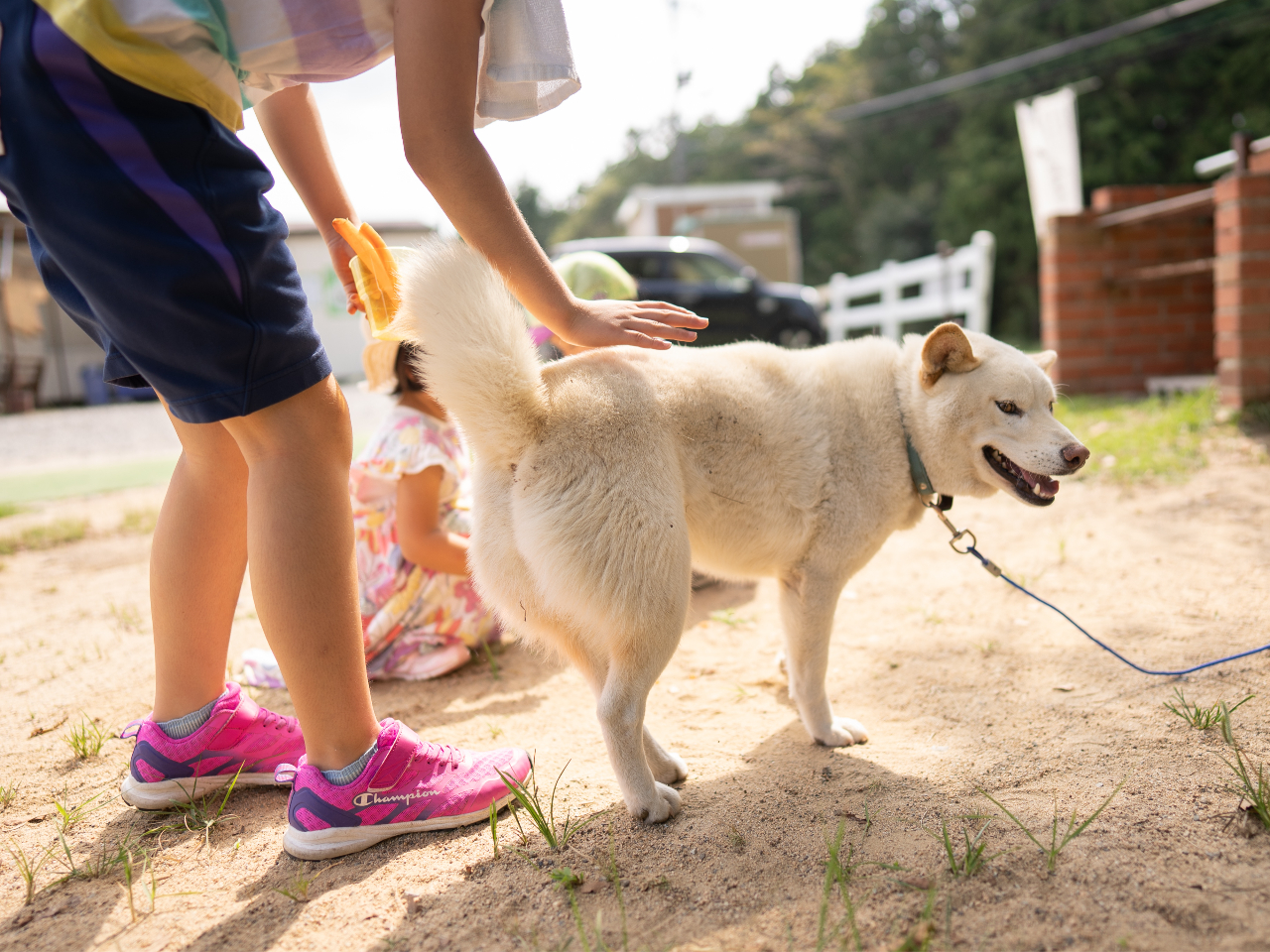 ̌IAAq⃄MƂGꍇ܂At@[̊Ŕ݂̑YꂿႾ߂ł`