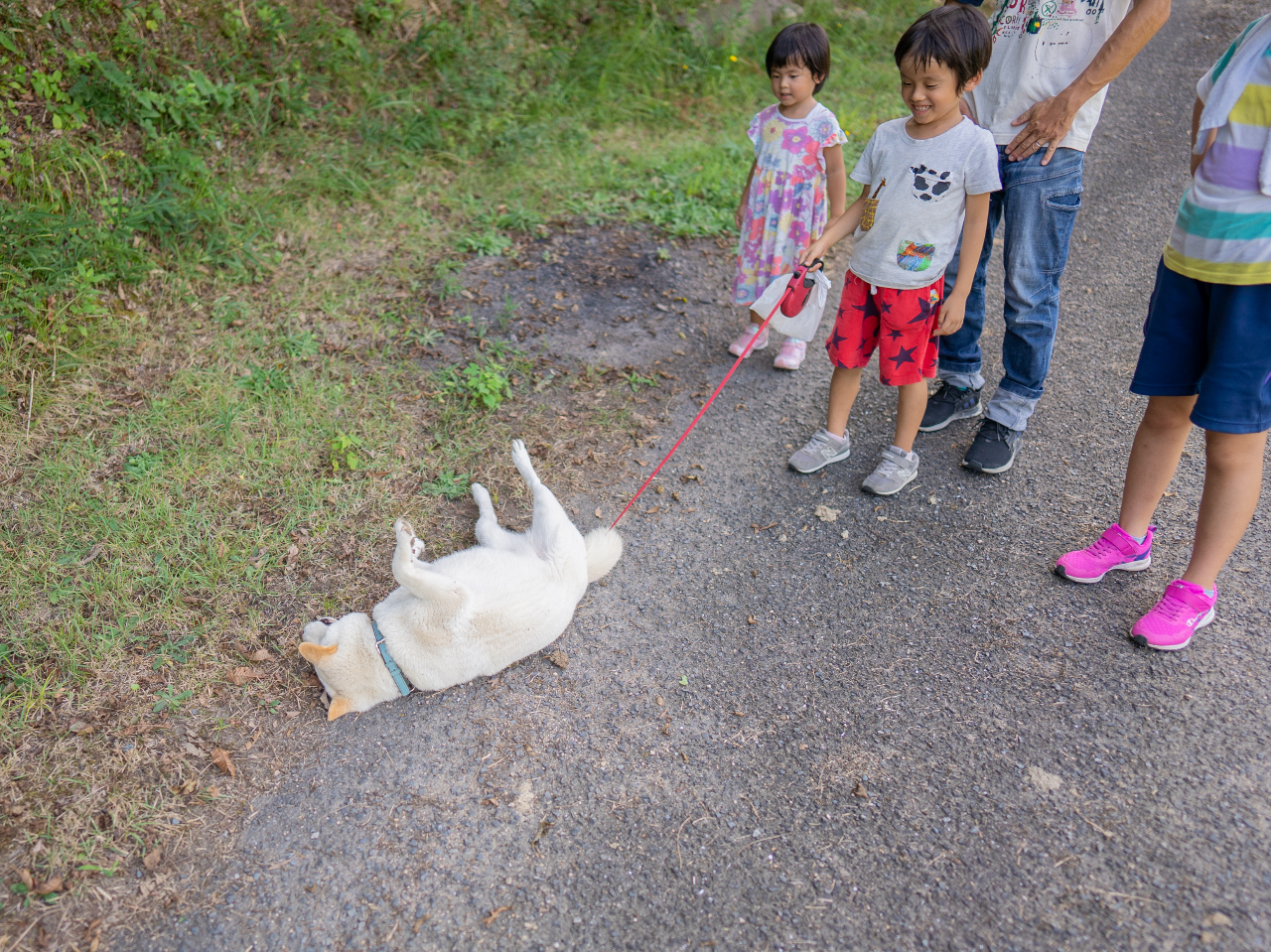 t@[̊Ŕ͂FBɂȂ炢ȊłIu₾₾`AႢ`ƈꏏɗVڂ`IIv