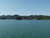 高知 釣り Goldrush高知で釣り体験 チャーターボート Gold Rush 高知 じゃらん遊び体験 高知 釣り Goldrush高知で釣り体験 チャーターボート Gold Rush 高知 じゃらん遊び体験