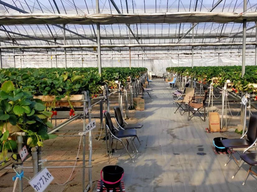 �n�E�X���ɂ̓C�X�����p�ӂ��Ă������܂��B���ו���u������A���x�~�ɂ����p�������B