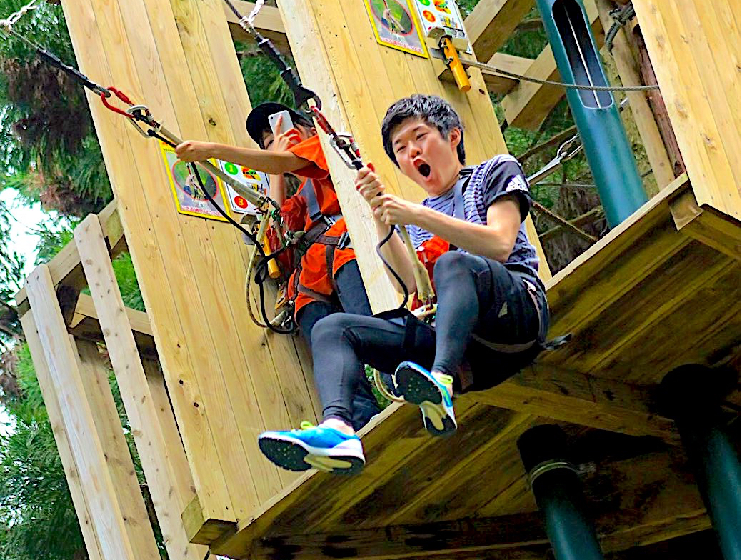 ǉIvṼAhx`[R[XEvX͔э~ANeBreBu^[UXCOv̌\In\őΉ܂