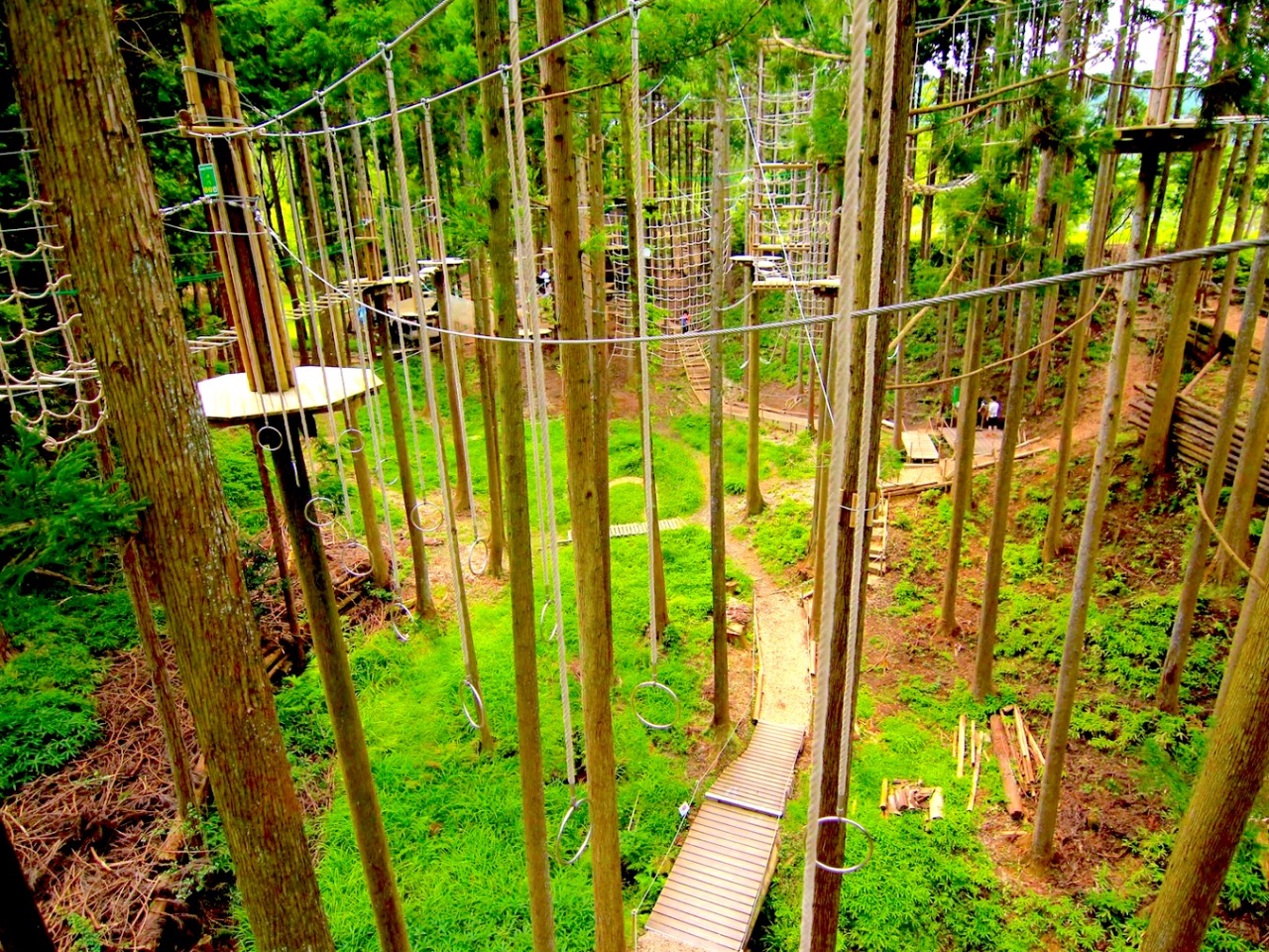 FORESTフォレスト 軽井沢365 フォレストガーデン八風台 - 宿泊予約 - 一休.com