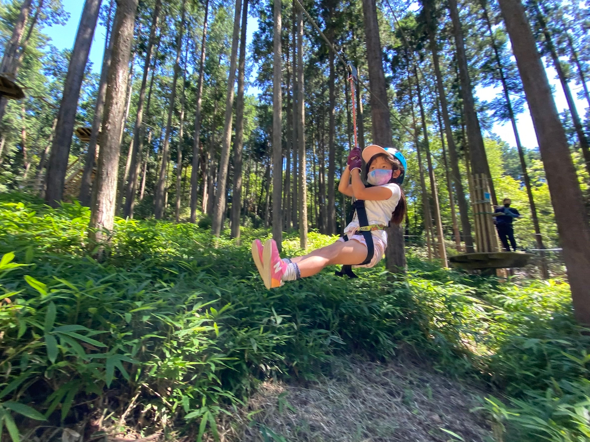 ؂̏ォ炷ׂ肨lC̃WbvXCh͂Lms[R[Xɂ܂I