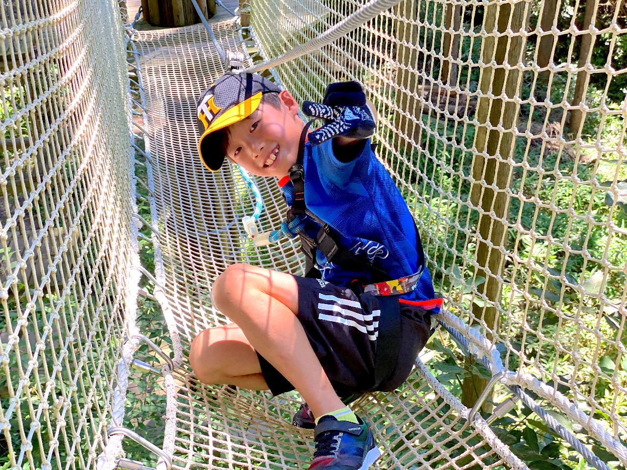 ANeBreB̎ނ͗lXI̂₳̂܂ŐFXȃoG[Vy݂I