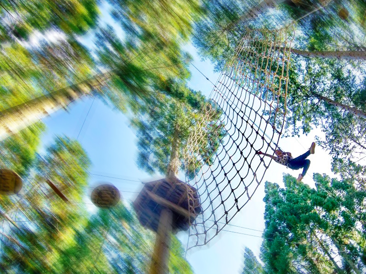 ���w�S�N���i�܂��͐g��140cm�ȏ�j�����l�ƈꏏ�ɂ��Q�����������܂��I�{�i�I�Ȏ���̌������y���݂��������I