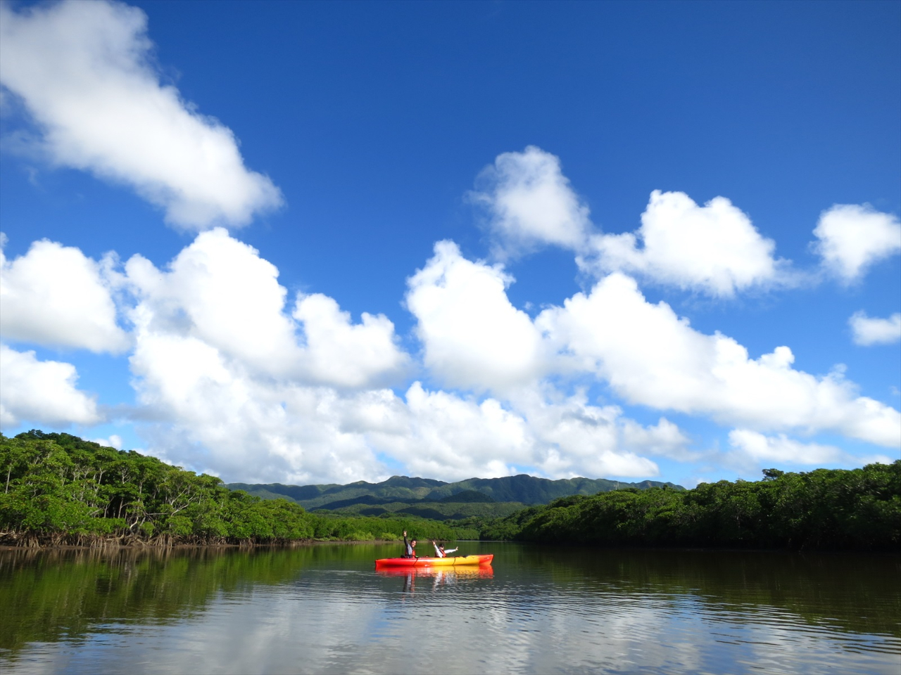 Jk[Ń}O[u̐ɏoŁ[̂т厩Rɖ܂傤ˁB