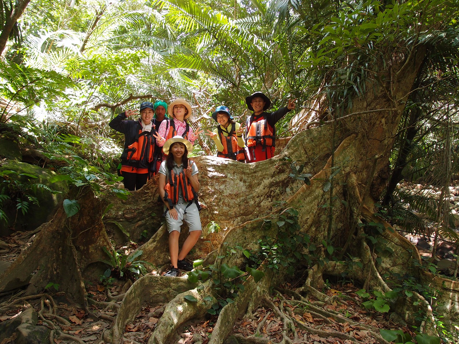 Jk[̌̓WOTł썑L̐A␶Ԍn̂тĊy݂܂傤IVς܂[B