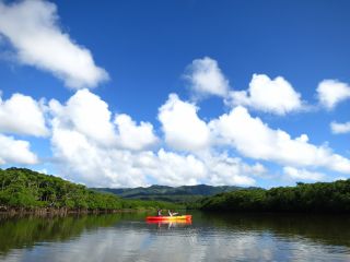 西表島でも人が少ないマイラ川☆マングローブも大きく綺麗でのんびりとカヌー、そして滝遊びまで楽しめます!人が少ない場所をご希望のお客様にはお勧めのコースです♪
