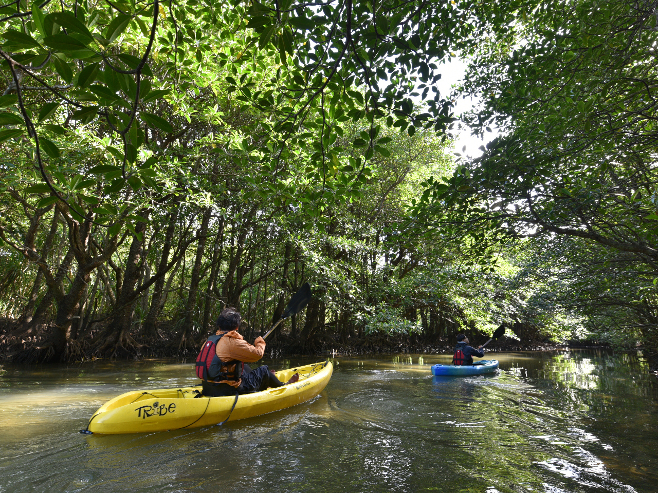 }O[ũJk[͖̎Ԃł́[т葆ŕГ30炢