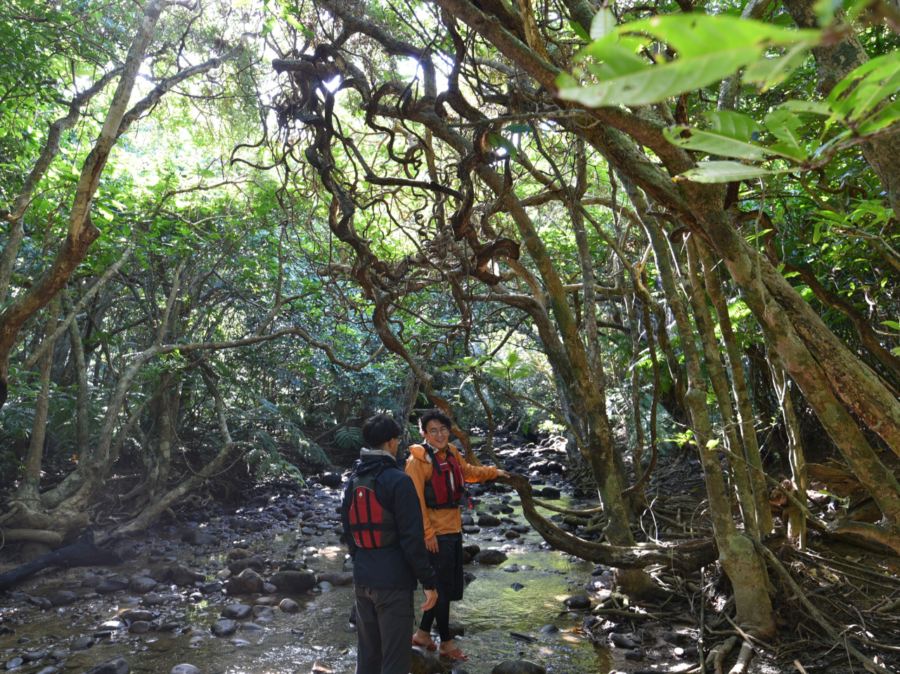 Jk[̌̓WOē܂̂тĖ10őɓł