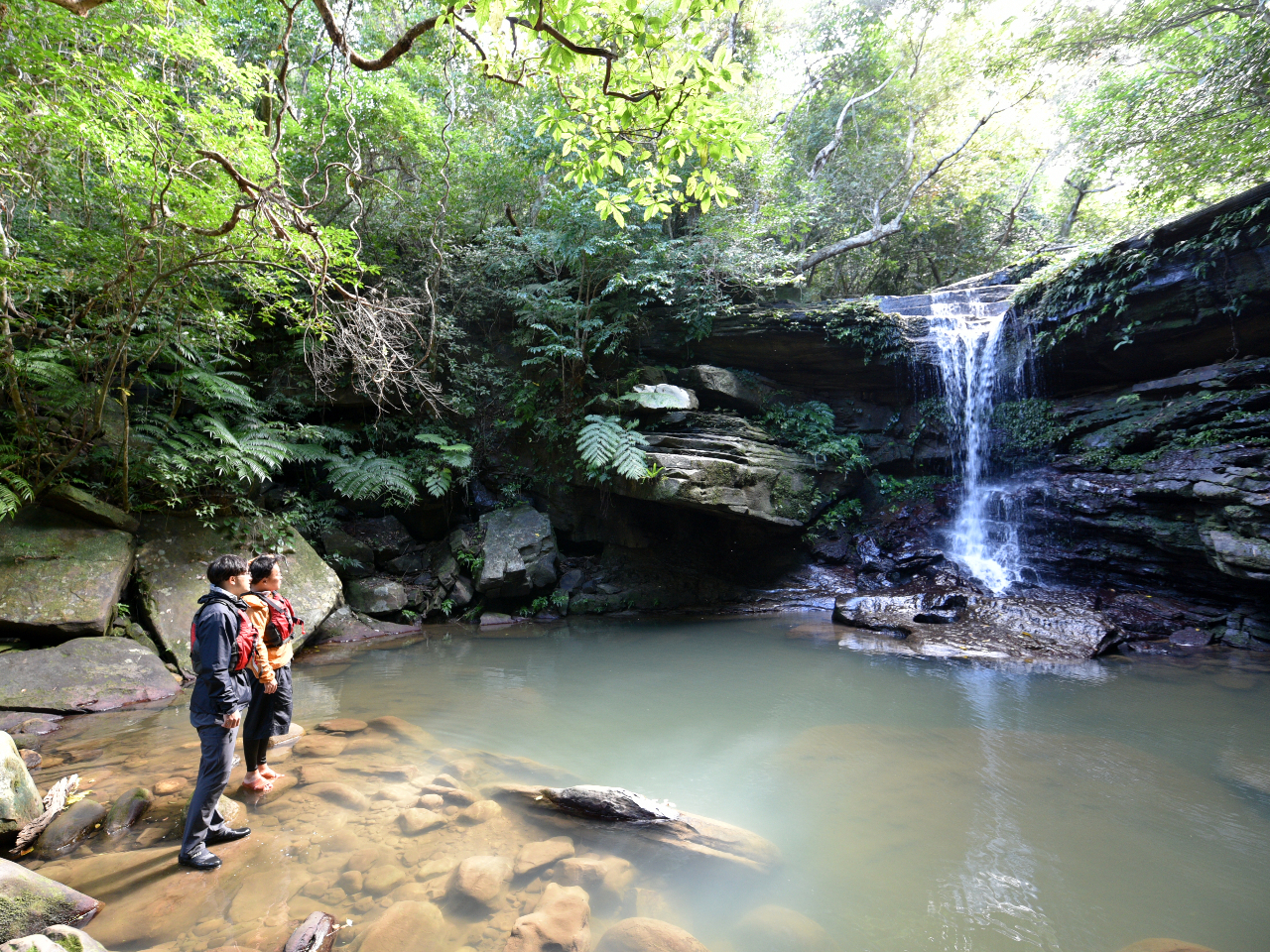 ɓȑłgȂƑڂɓɑłꂽƂςVׂ܂