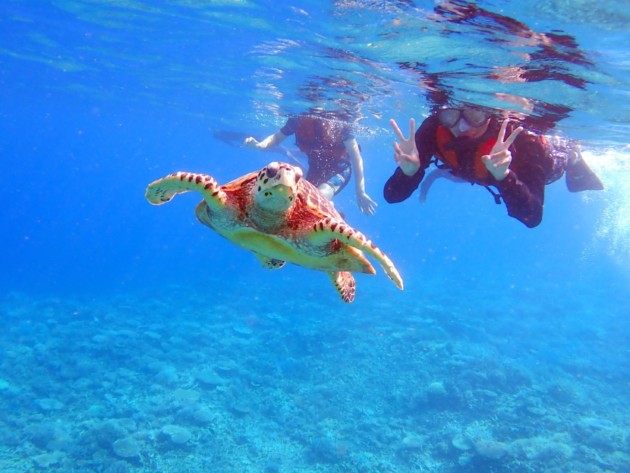 E~Kɂmŏoł܂ꂼ\̊C߂ႭYł[