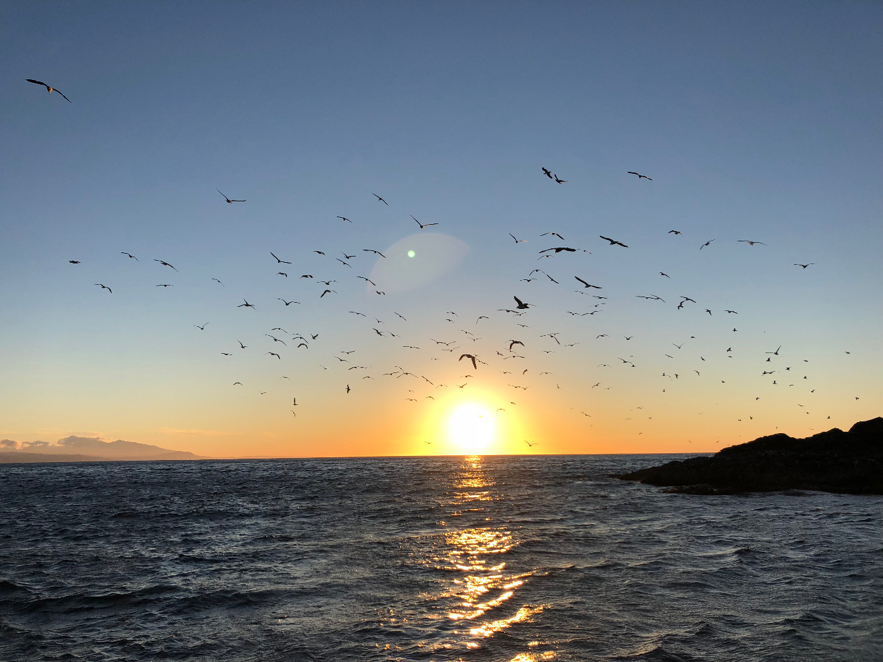 [ւ̑햡̃TZbgiIIG߂ɂ[̐Ԃ݂قȂ܂IC猩̂܂iʁBʐ^64Tڂ19:00B