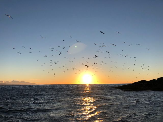 夕方便の醍醐味のサンセット風景!!季節により夕日の赤みが異なります!海から見るのもまた格別。写真は6月4週目の19:00頃。