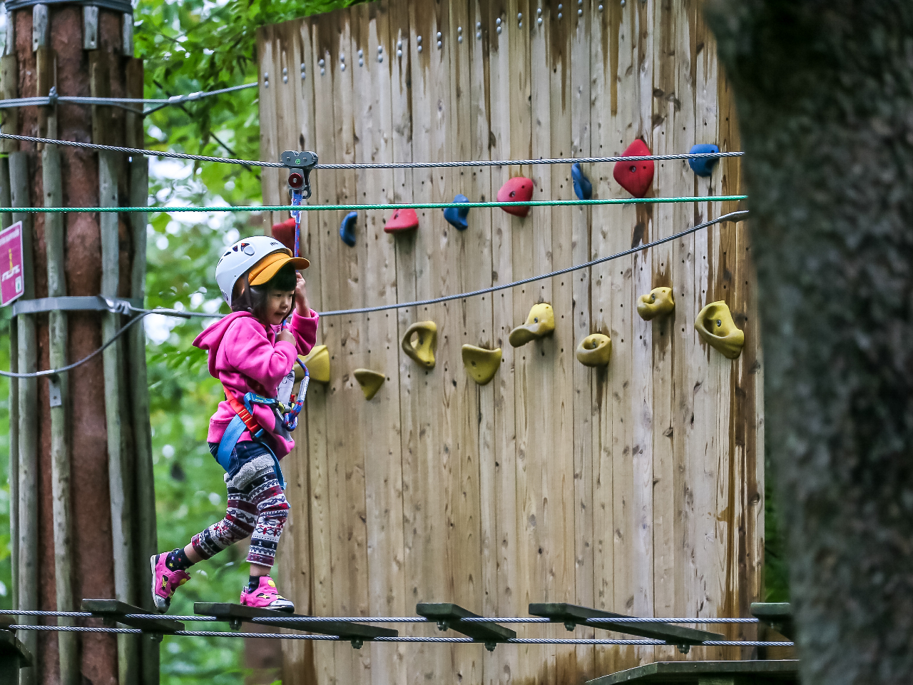 専用の安全ベルトを着用してツリートレッキング体験♪