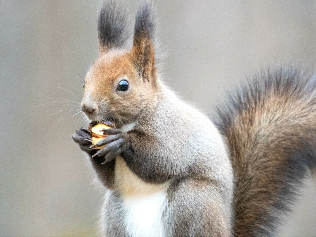 G]XLclȂǖ쐶ɏo邱ƂI