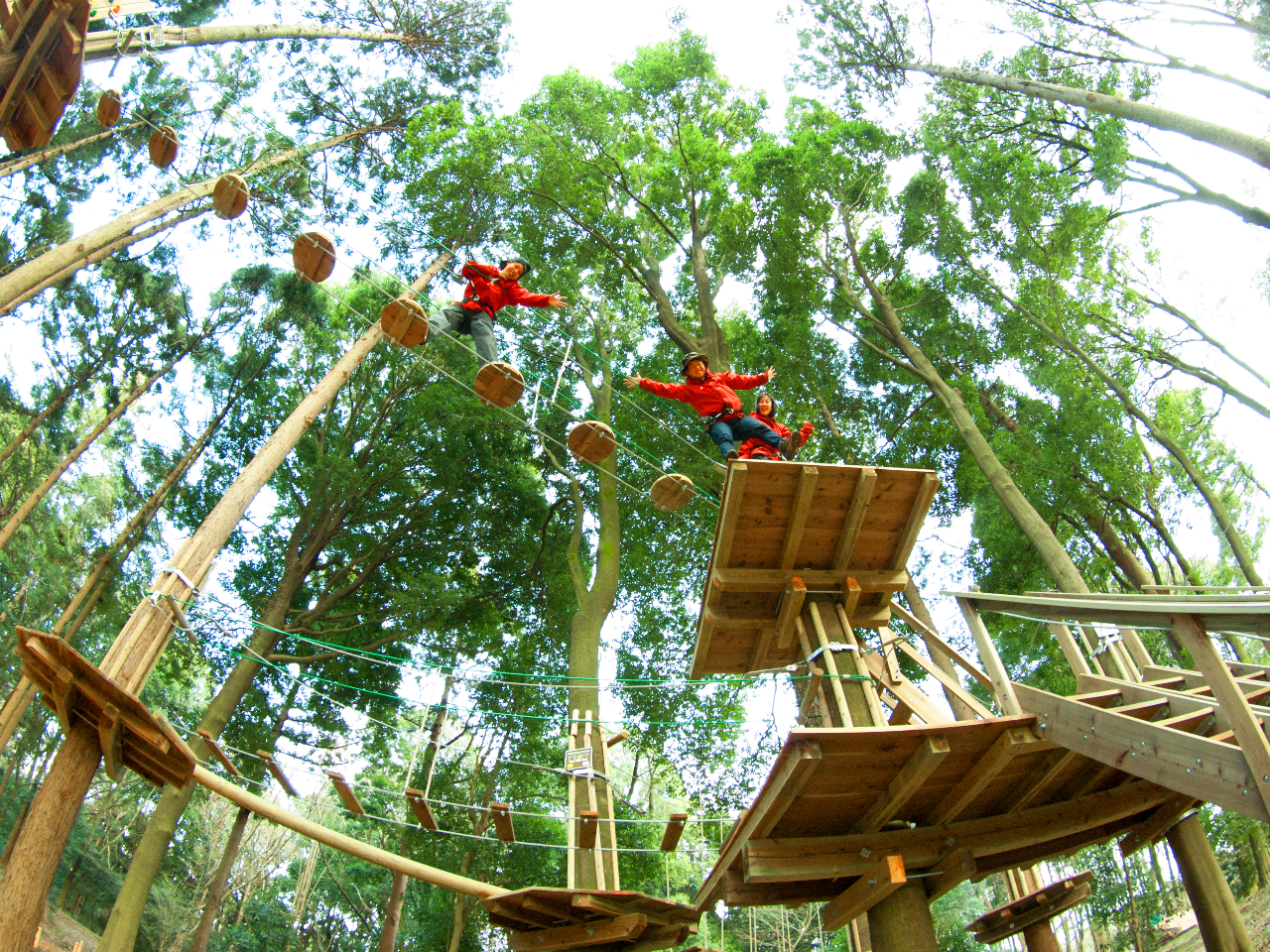 �����Ă͗������X�Ń��t���b�V���I