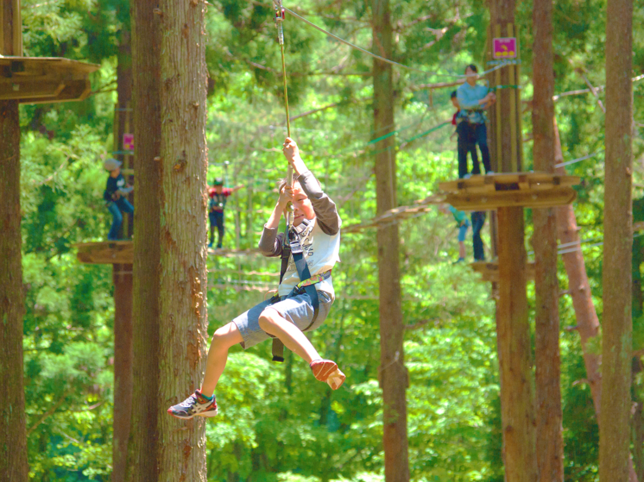 子どもが大人に成長する豊かな森!