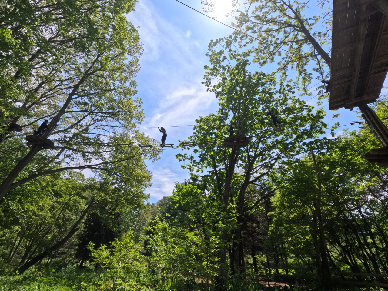 緑に囲まれた樹上体験を是非!!