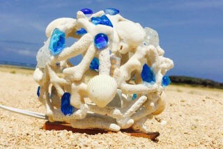 TSƗKXgݍ킹ăIWĩTSv