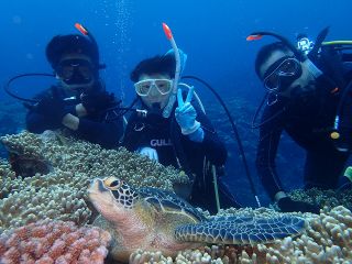 ウミガメもこんなに近くで見れちゃいます。一緒に平行泳ぎが出来ることも多いですよ