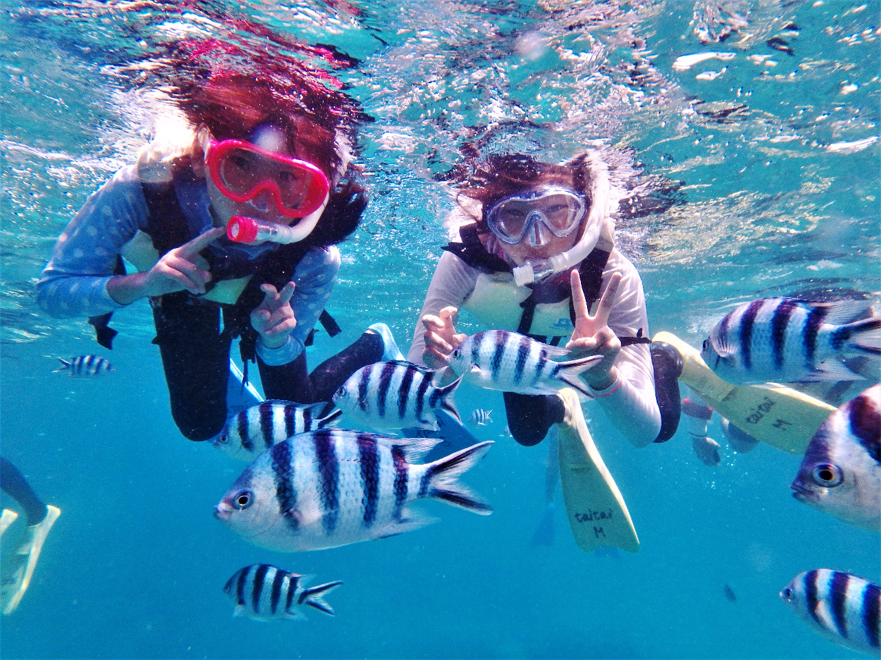 3̃|CgɍŝŋTSʂR܂