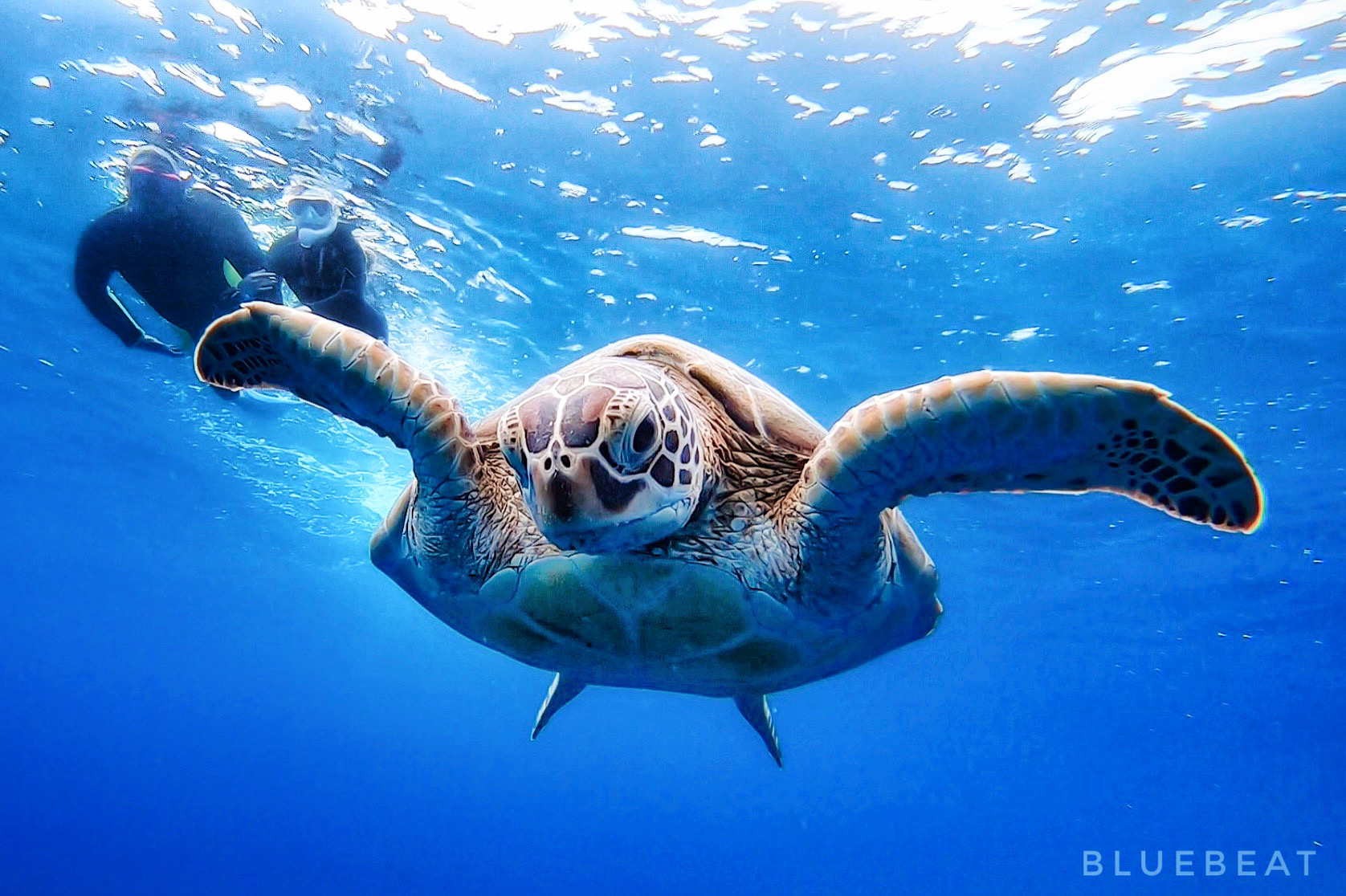 Beʐ^Ãf[^͑SĖ(ҏWÊ܂܂)v܂