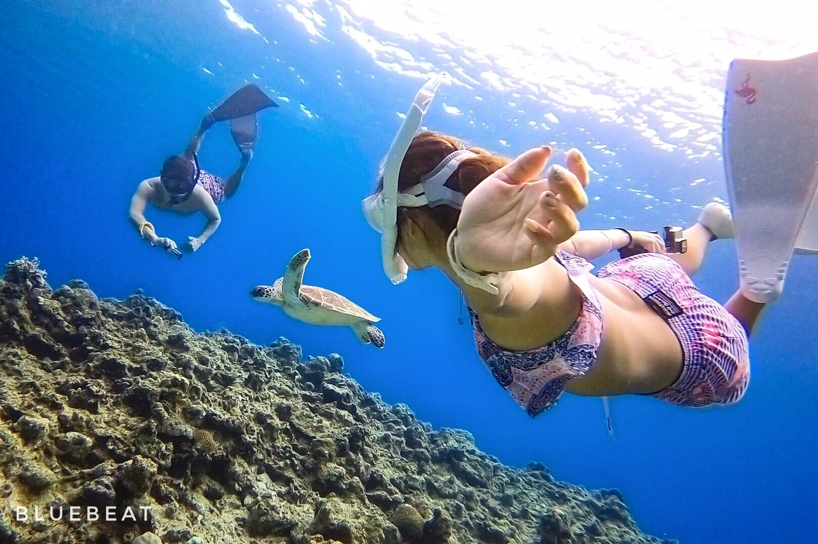 lE~K͂Ђꏏɉjł邱Ƃ  VCȎq܂